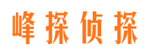 施秉市场调查